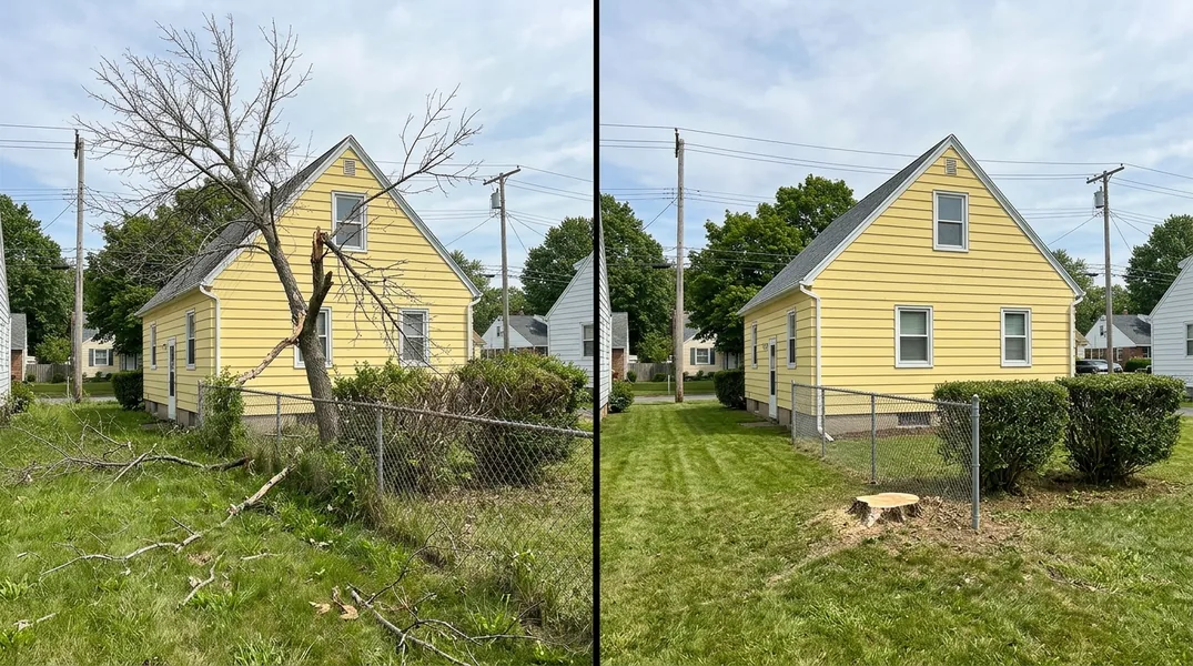 How Much Does Tree Removal Cost in Buffalo? 2026 Price Guide